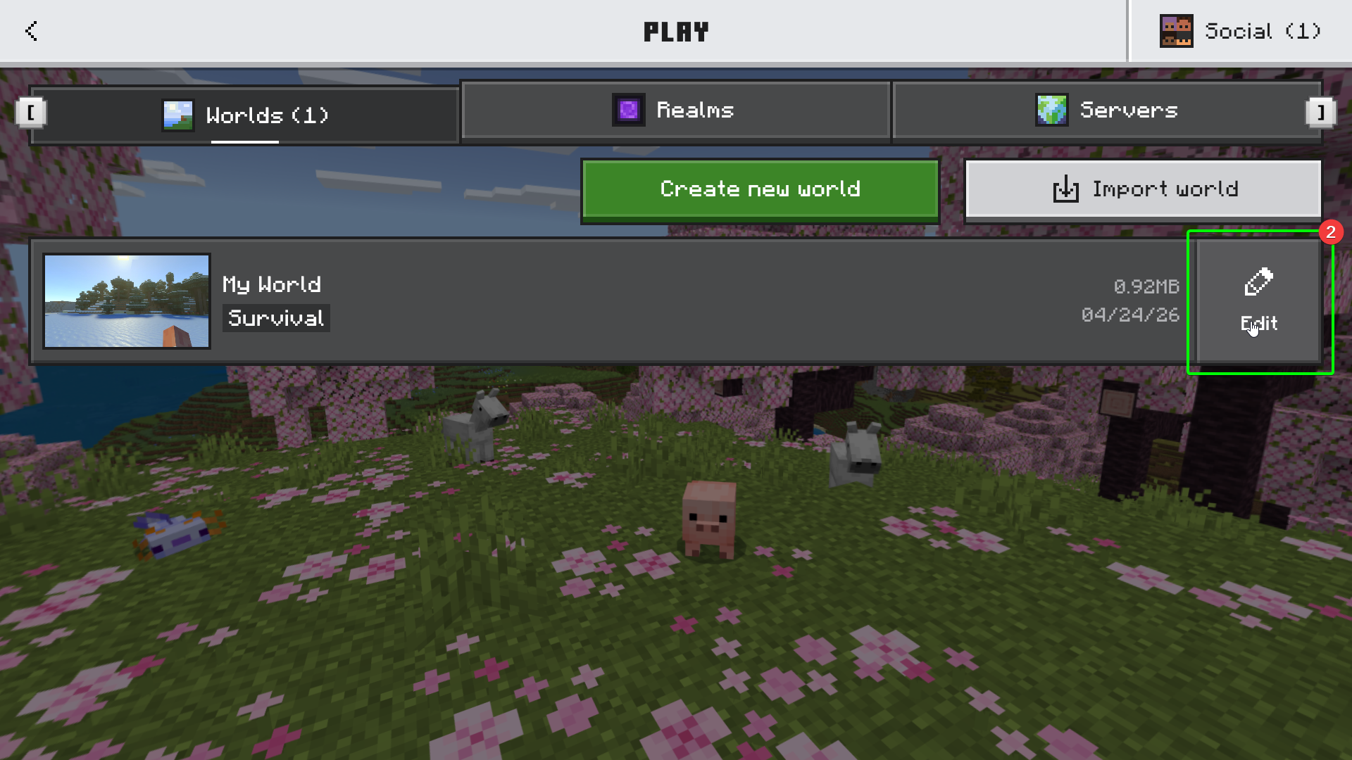 Minecraft Bedrock World Import