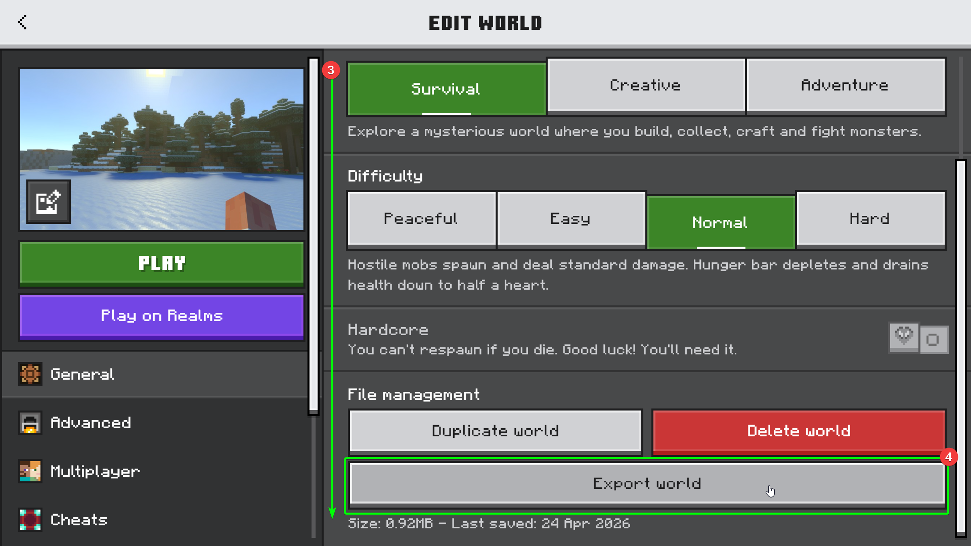 Minecraft Bedrock World Import